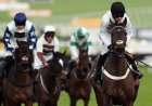 Cheltenham Festival 2025: Thrilling Races, Exclusive Betting Offers, and Unmatched Excitement Await
