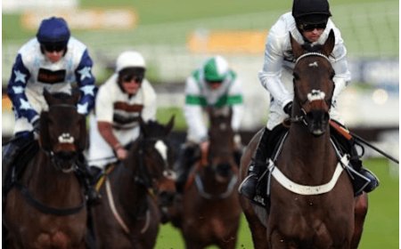 Cheltenham Festival 2025: Thrilling Races, Exclusive Betting Offers, and Unmatched Excitement Await