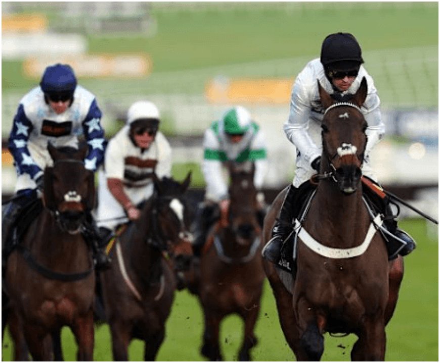 Cheltenham Festival 2025: Thrilling Races, Exclusive Betting Offers, and Unmatched Excitement Await