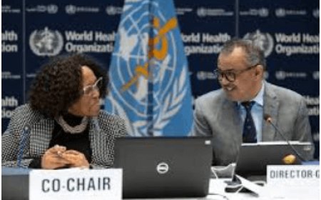 WHO Moves Forward with Bold Pandemic Pact to Safeguard Global Future