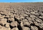 UK Drought 2026: Hosepipe Bans Spread as Crisis Deepens