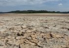 England Drought Deepens as Driest Summer on Record Bites