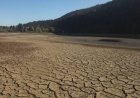 30 Million Face Water Restrictions in England Drought