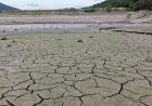 England Drought Spreads to 75% of the Country