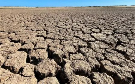 UK Drought 2026: Hosepipe Bans Spread as Crisis Deepens