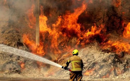 UK Heatwave 2026: Wildfires, Drought Grip Britain