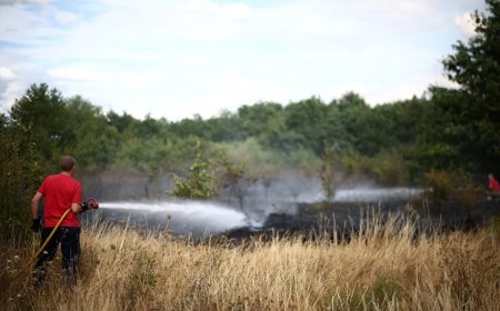 UK Drought Crisis: 27m Under Hosepipe Bans Amid Fires