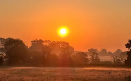UK Heatwave 2026: Fifth Hottest Day Ever Recorded