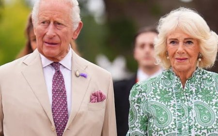 King Charles Cancer: Camilla Speaks Out on His Resolve