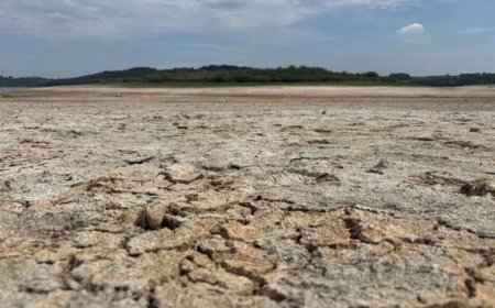 England Drought Deepens as Driest Summer on Record Bites
