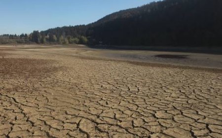 30 Million Face Water Restrictions in England Drought