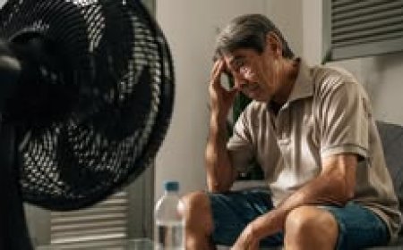 40,000+ Heat Deaths in England & Wales Since 1988