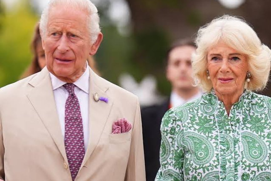 King Charles Cancer: Camilla Speaks Out on His Resolve