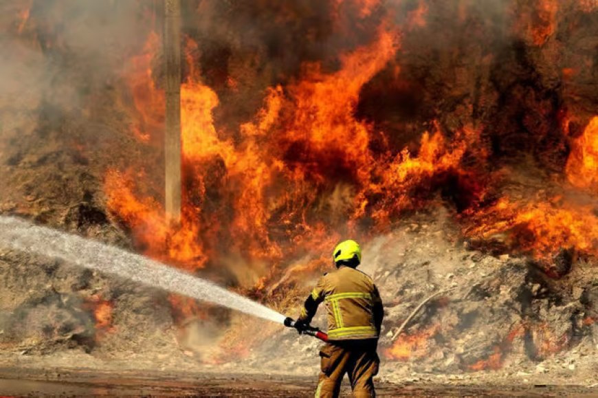 UK Heatwave 2026: Wildfires, Drought Grip Britain