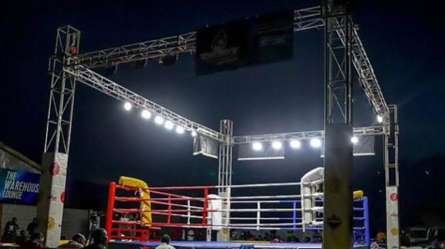 Missing Commonwealth Games Boxers: UK Asylum Probe