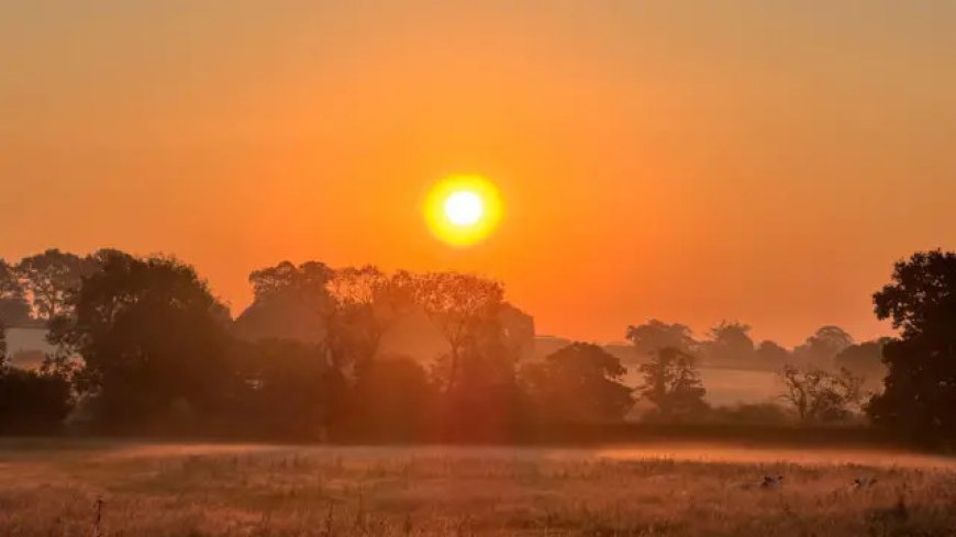 UK Heatwave 2026: Fifth Hottest Day Ever Recorded