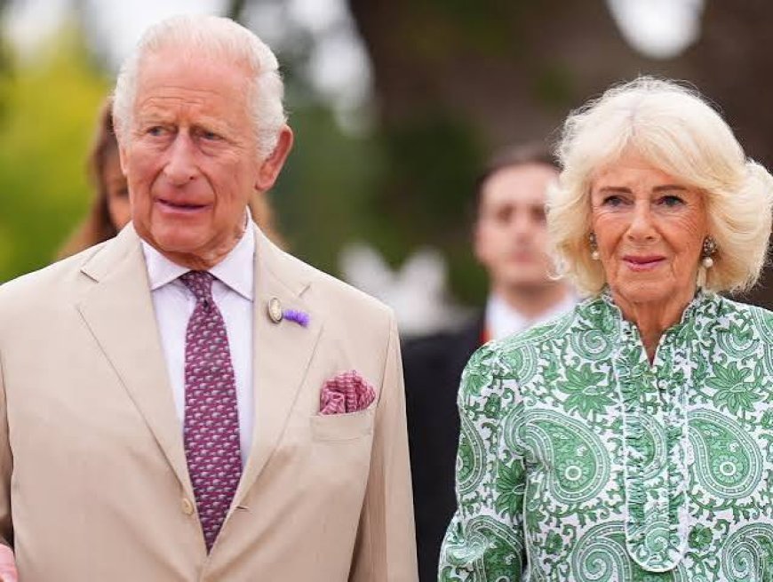 King Charles Cancer: Camilla Speaks Out on His Resolve