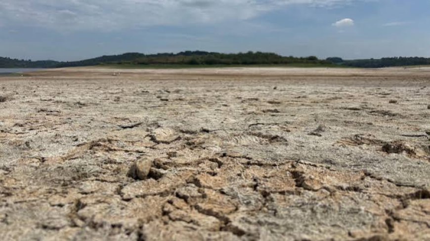 England Drought Deepens as Driest Summer on Record Bites