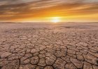 UK's Hottest Summer on Record Confirmed by Met Office