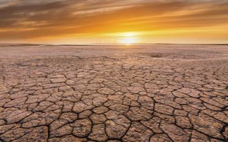 UK's Hottest Summer on Record Confirmed by Met Office