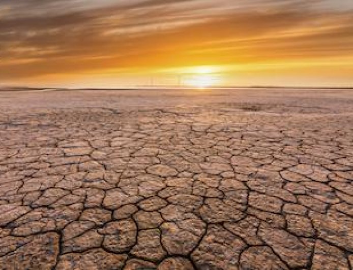 UK's Hottest Summer on Record Confirmed by Met Office