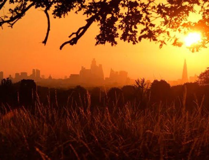 UK's Hottest Summer on Record Linked to Climate Change