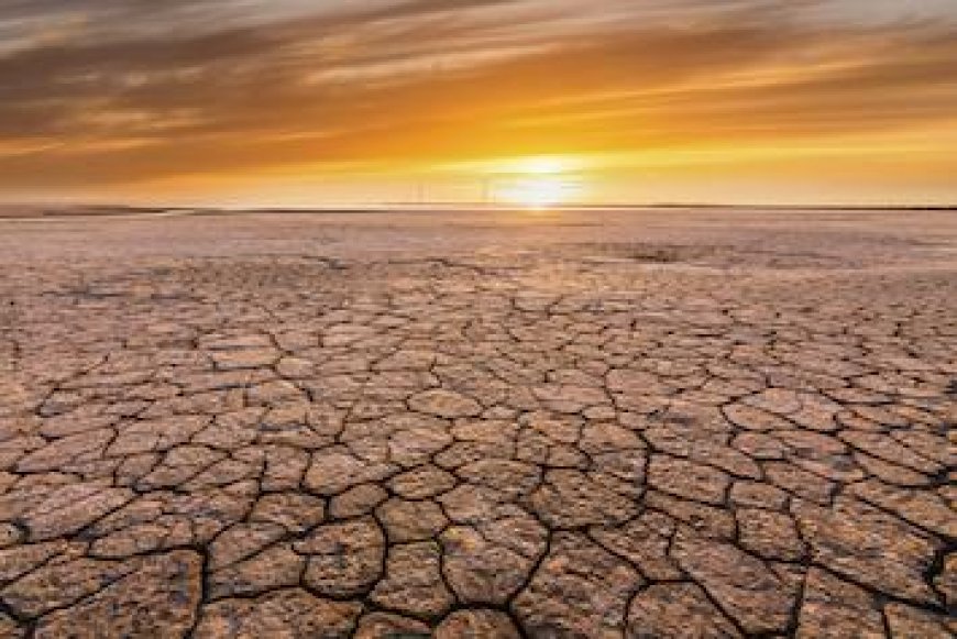 UK's Hottest Summer on Record Confirmed by Met Office