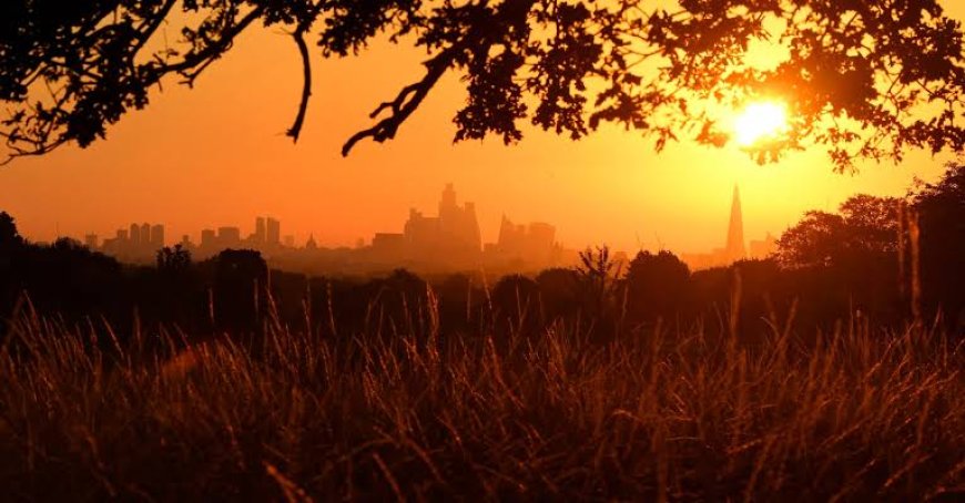 UK's Hottest Summer on Record Linked to Climate Change